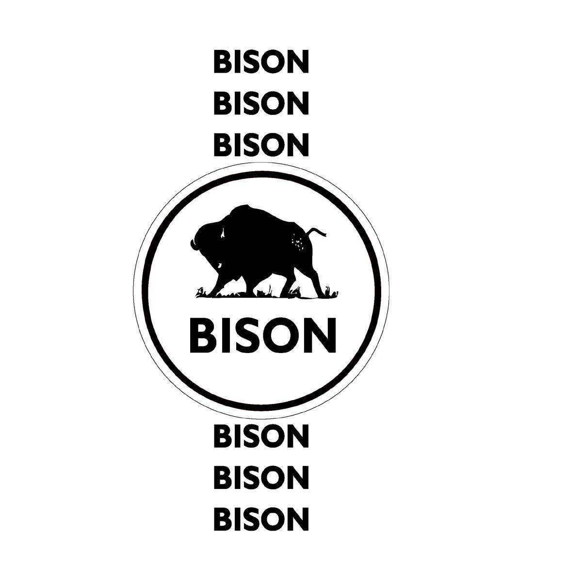 商标名称BISON商标注册号 10307809、商标申请人陈唱商用车维修有限公司的商标详情 - 标库网商标查询
