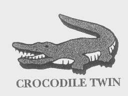 商标名称CROCODILE TWIN商标注册号 1362494、商标申请人鳄鱼恤有限公司的商标详情 - 标库网商标查询
