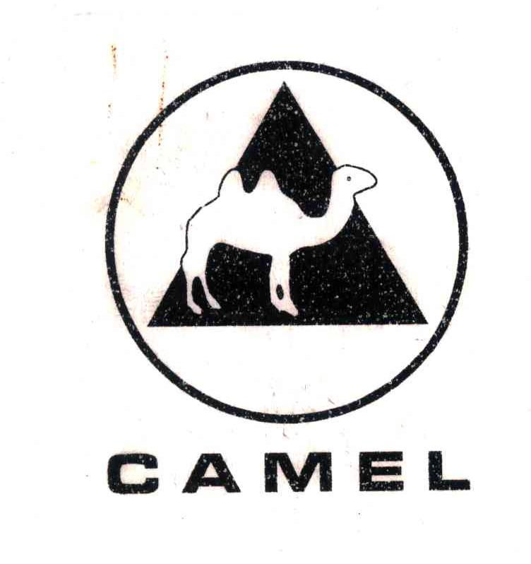 商标名称CAMEL商标注册号 4306562、商标申请人袁宏伟的商标详情 - 标库网商标查询