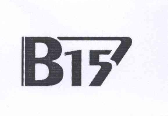 商标名称B15商标注册号 14219712、商标申请人王玛瑙的商标详情 - 标库网商标查询