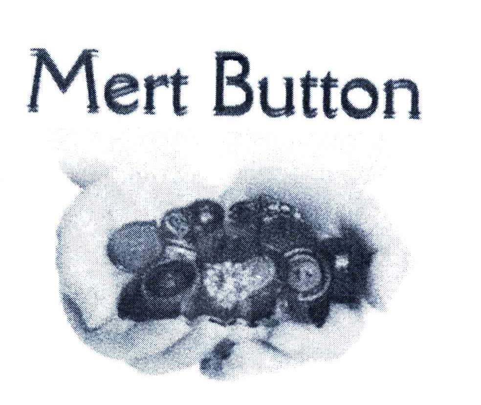 商标名称MERT BUTTON商标注册号 7037494、商标申请人涂一帆TR-P NO·的商标详情 - 标库网商标查询