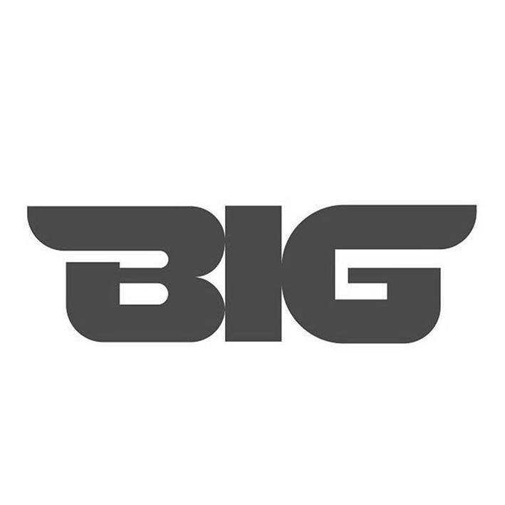 商标文字big商标注册号 49132166,商标申请人北京城市副中心投资建设