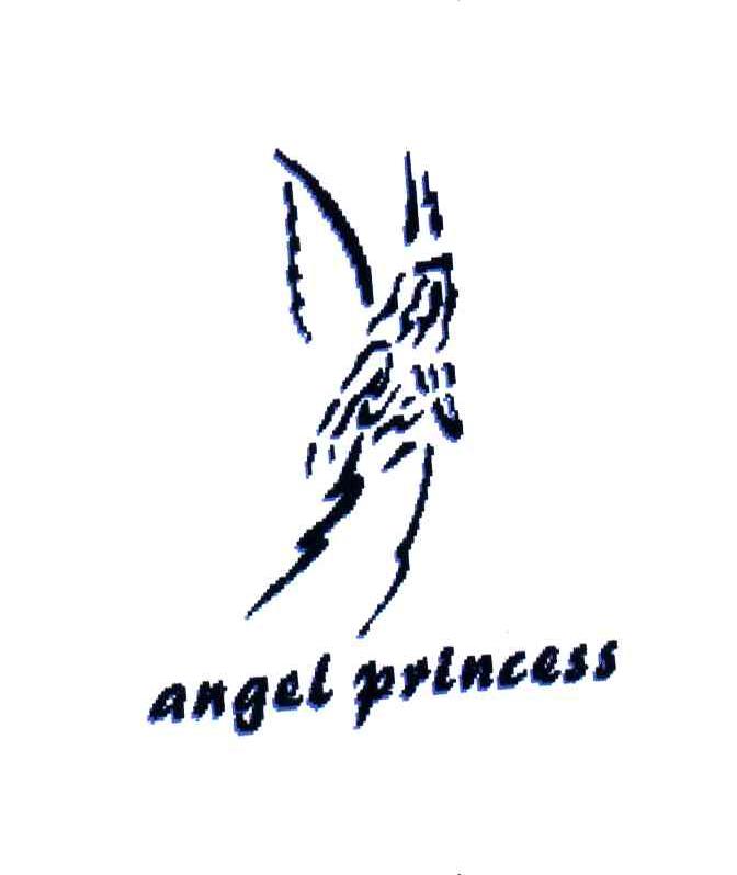 商标名称ANGEL PRINCESS商标注册号 3634418、商标申请人陈邦义的商标详情 - 标库网商标查询
