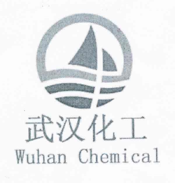 商标名称武汉化工 WUHAN CHEMICAL商标注册号 10914912、商标申请人袁清龙的商标详情 - 标库网商标查询