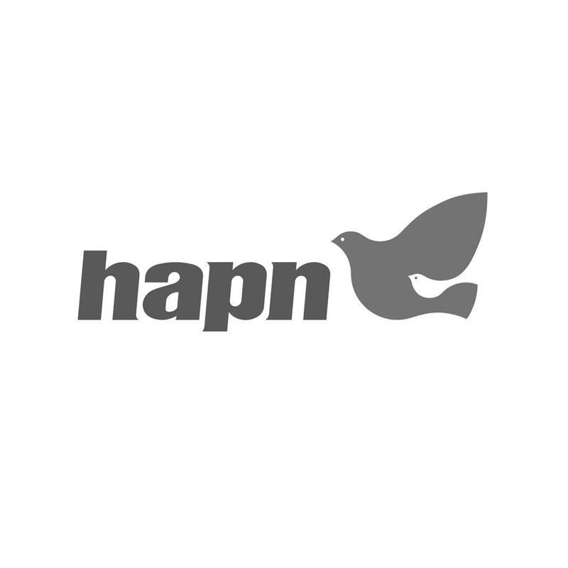 商标名称HAPN商标注册号 11709993、商标申请人索肯和平（上海）电气科技股份有限公司的商标详情 - 标库网商标查询