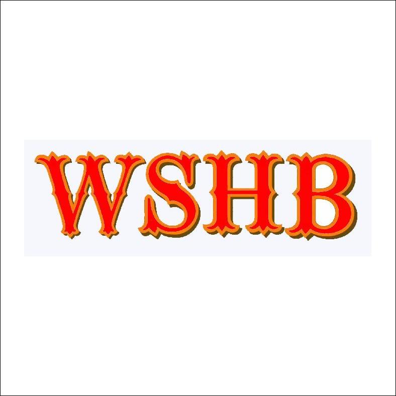 商标名称WSHB商标注册号 10269156、商标申请人安徽万山红科技有限公司的商标详情 - 标库网商标查询