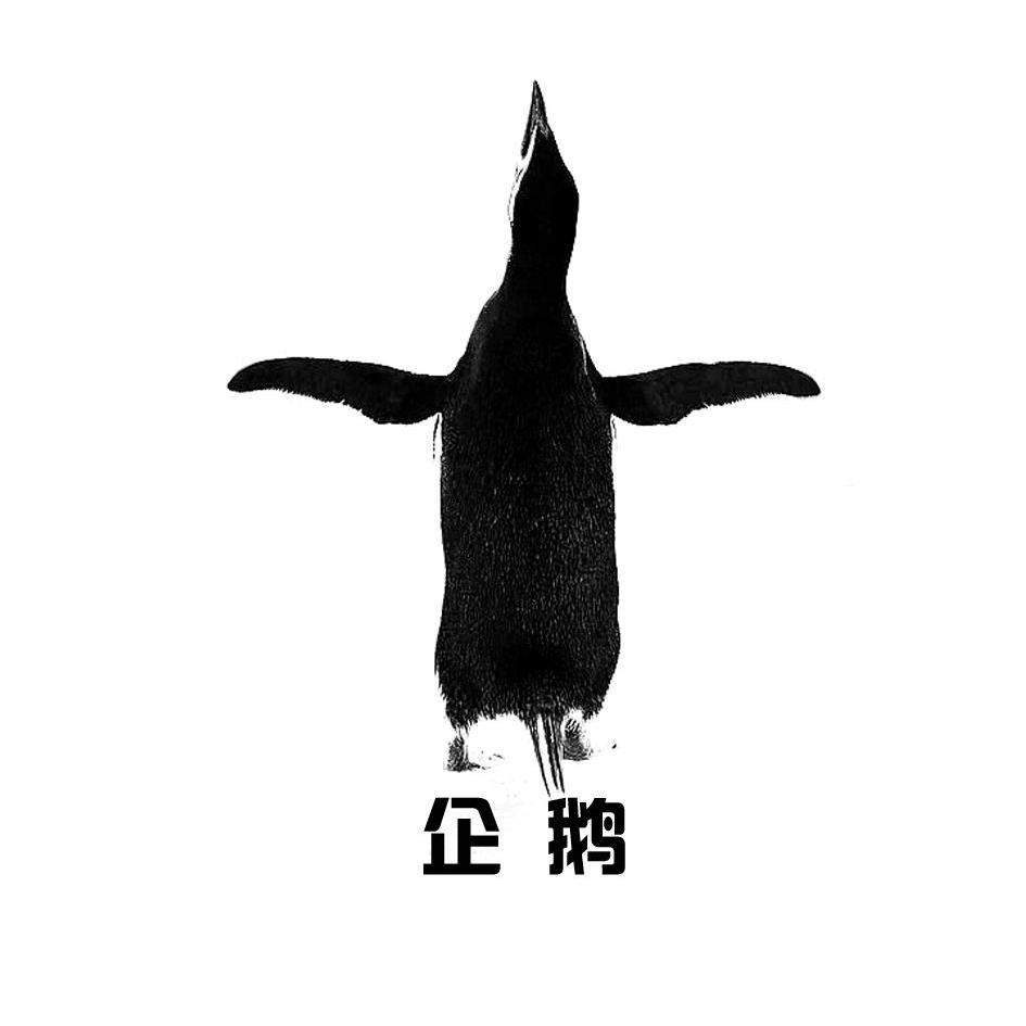 商标名称企鹅商标注册号 14225781、商标申请人烟台金龙投资有限公司的商标详情 - 标库网商标查询