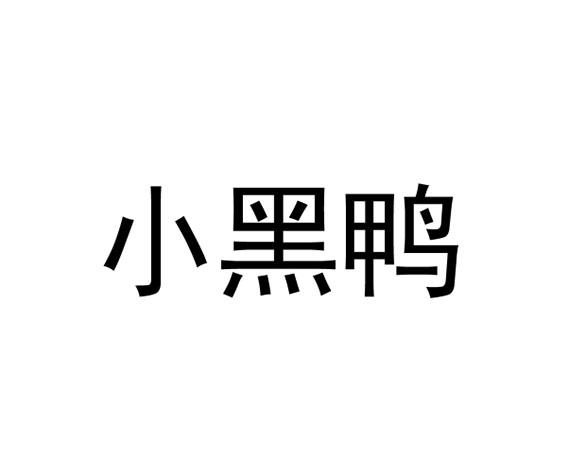 商标文字小黑鸭商标注册号 27108182,商标申请人周文晓的商标详情