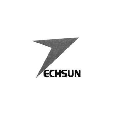 商标名称ECHSUN商标注册号 12333142、商标申请人芜湖市东盛兴业进出口有限公司的商标详情 - 标库网商标查询