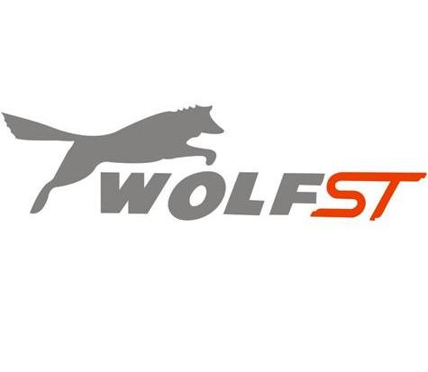 商标名称WOLFST商标注册号 12501838、商标申请人丹阳市同创车辆配件有限公司的商标详情 - 标库网商标查询