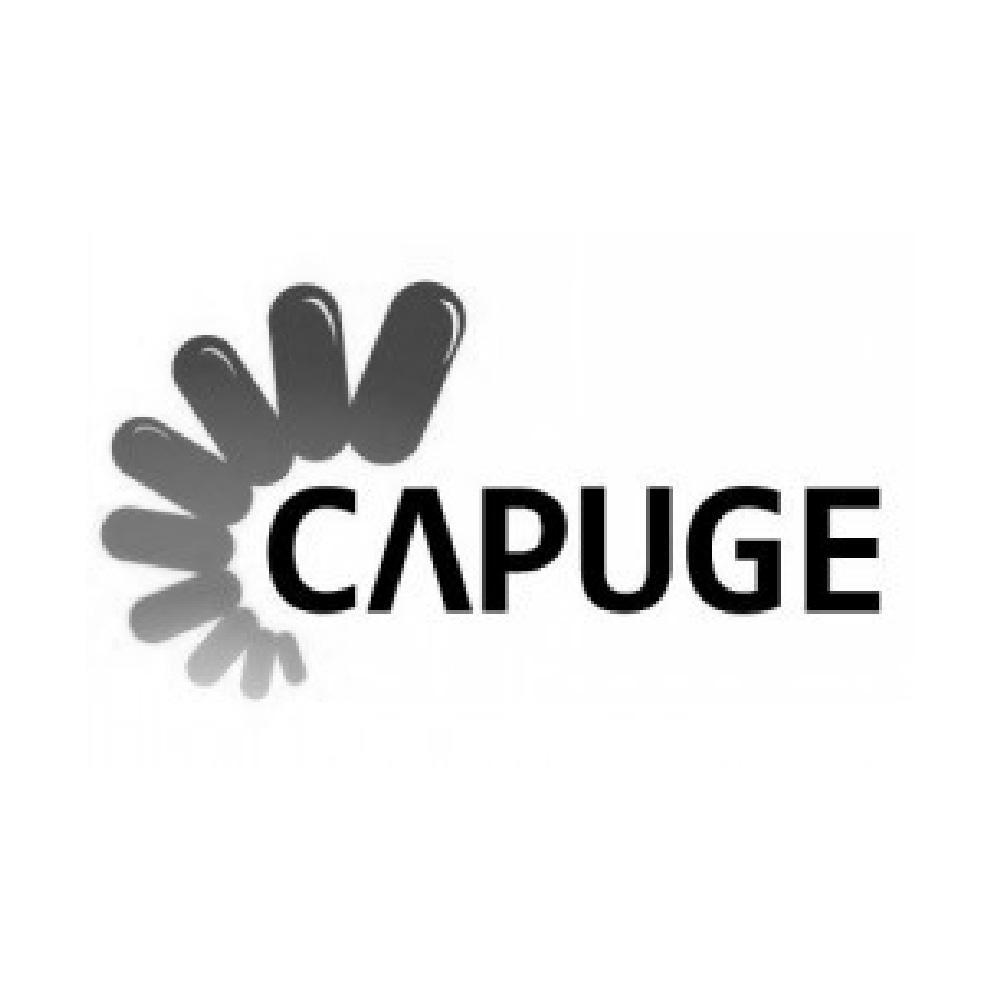 商标名称CAPUGE商标注册号 10759043、商标申请人浙江汇力胶囊有限公司的商标详情 - 标库网商标查询