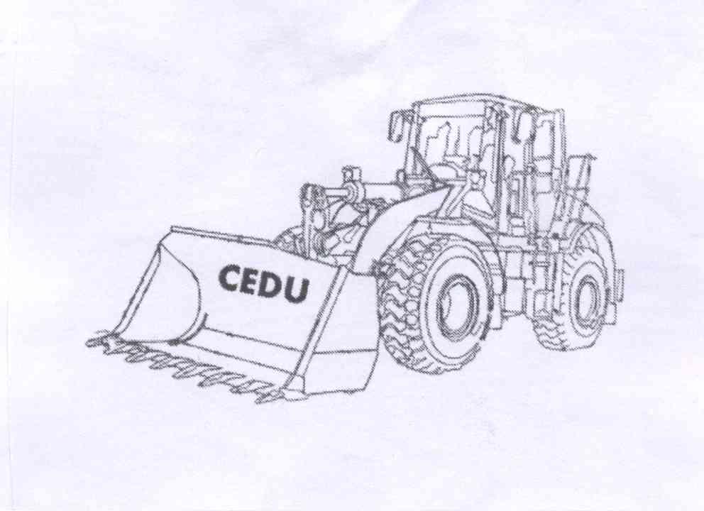 商标名称CEDU商标注册号 13423216、商标申请人洪瑞健的商标详情 - 标库网商标查询