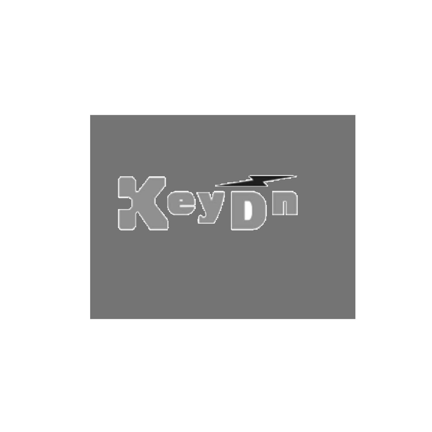 商标名称KEYDN商标注册号 11125738、商标申请人深圳市凯德科技发展有限公司的商标详情 - 标库网商标查询