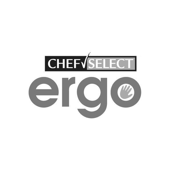 商标名称CHEF SELECT ERGO商标注册号 10163051、商标申请人泛维有限公司的商标详情 - 标库网商标查询