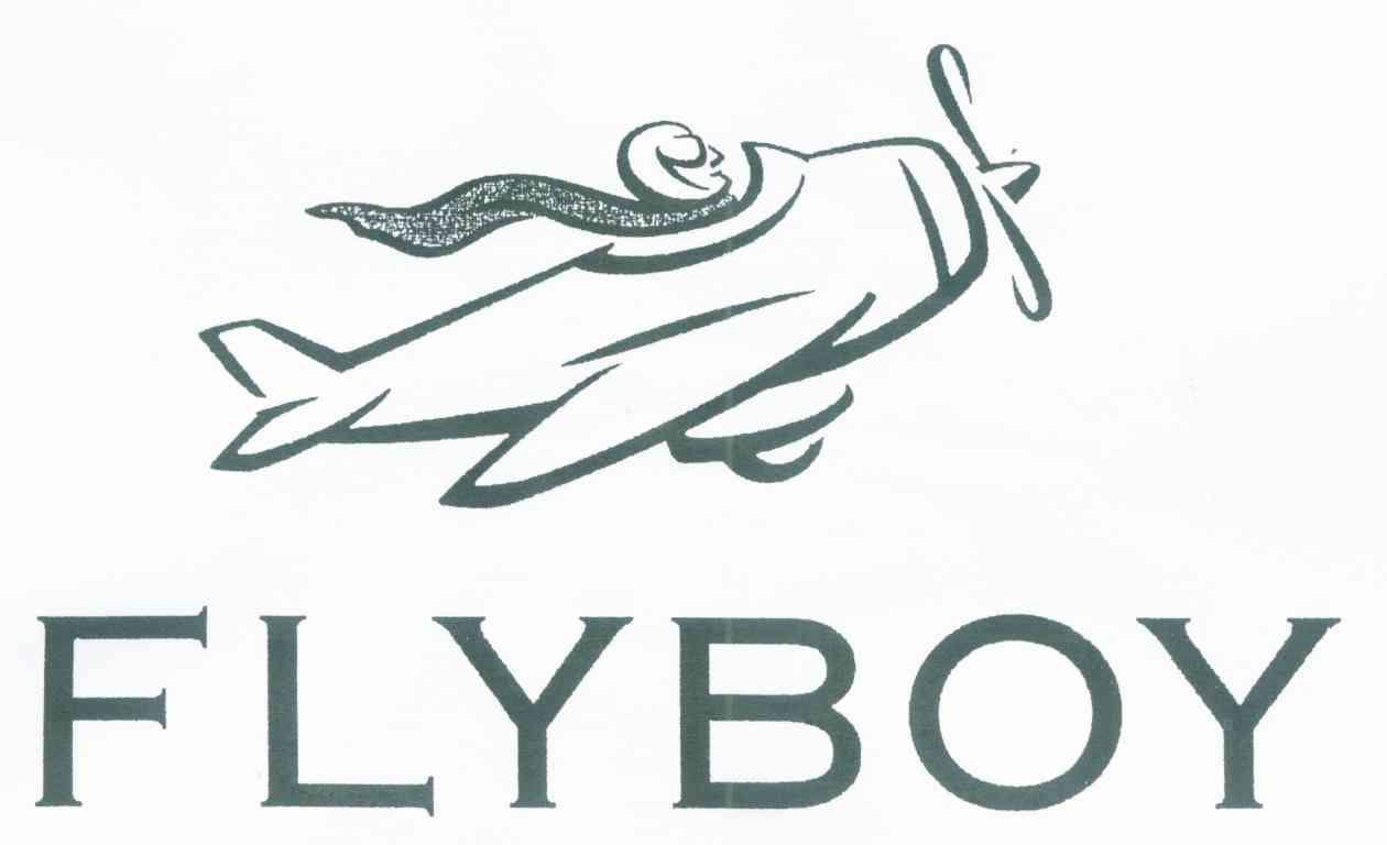 商标名称FLYBOY商标注册号 7653747、商标申请人深圳市维真化妆品有限公司的商标详情 - 标库网商标查询