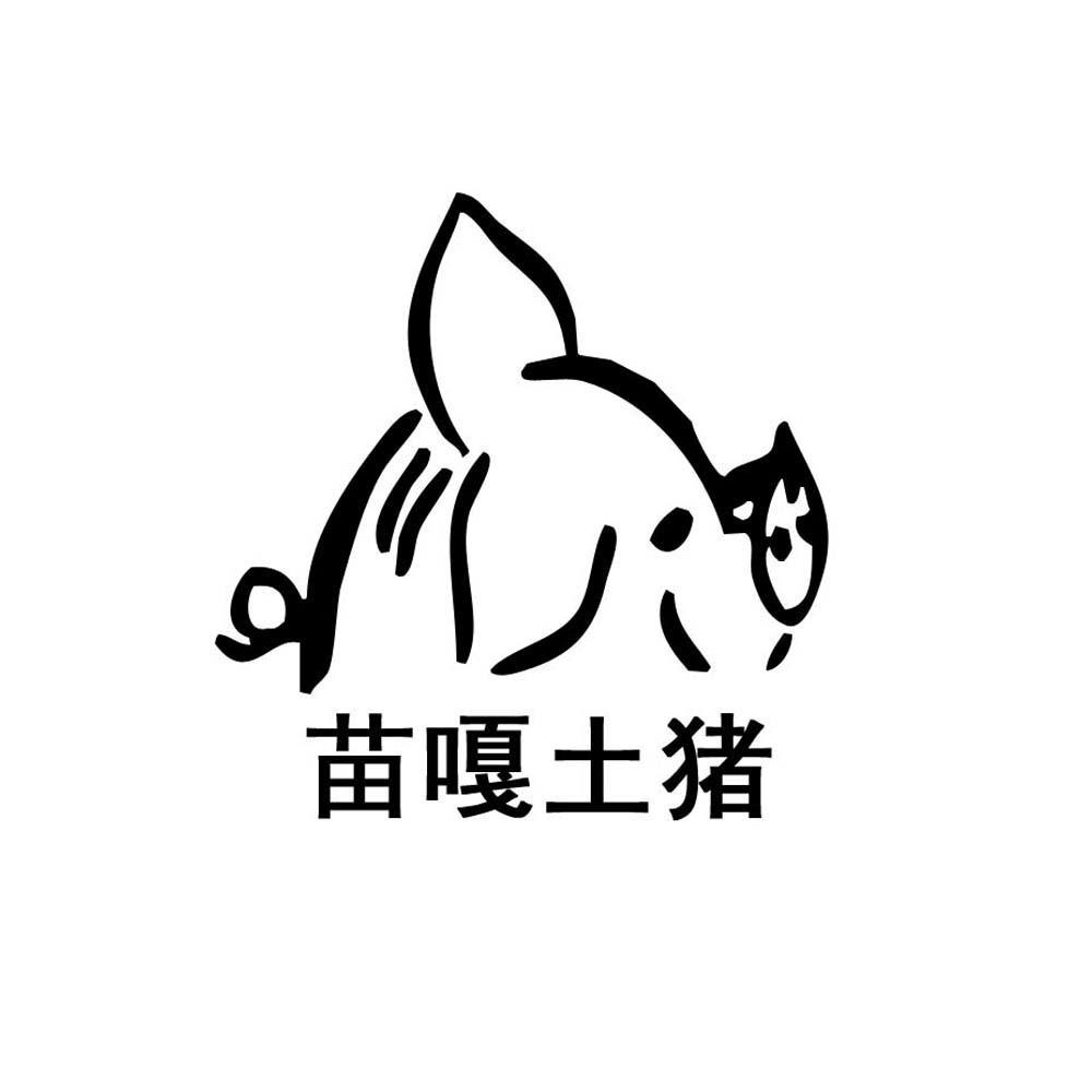 商标名称苗嘎土猪商标注册号 11138442、商标申请人从江县大塘养猪专业合作社的商标详情 - 标库网商标查询