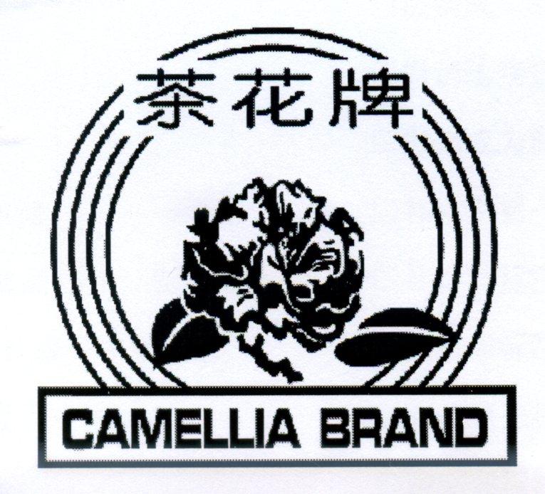 商标名称茶花牌 CAMELLIA BRAND商标注册号 18251106、商标申请人云南茶花药业进出口有限公司的商标详情 - 标库网商标查询