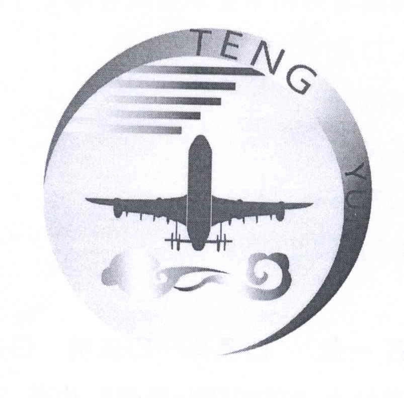 商标名称TENG YUN商标注册号 14080555、商标申请人彭战旗的商标详情 - 标库网商标查询