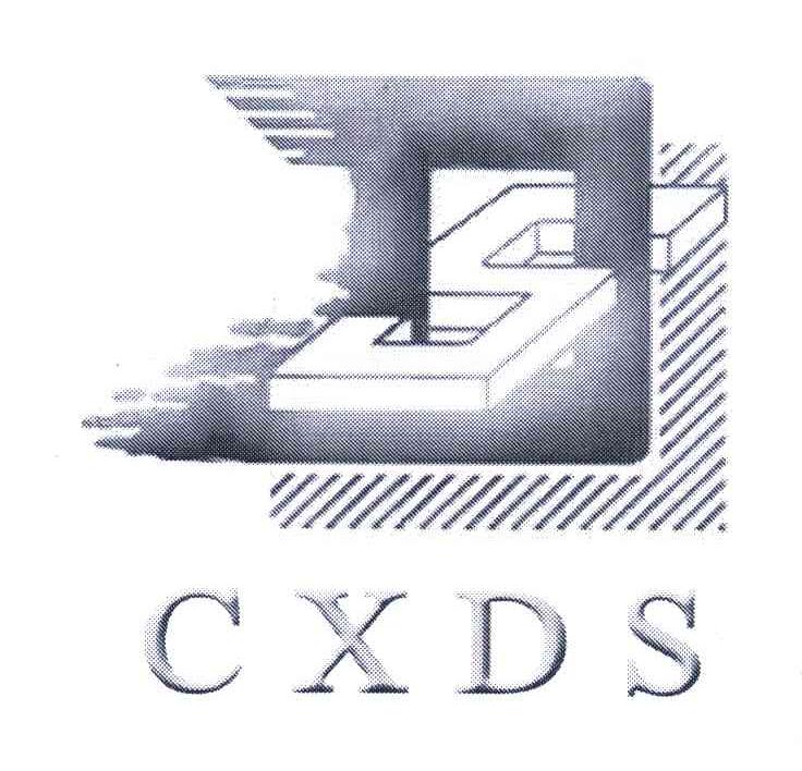 商标名称CXDS;DS商标注册号 6619022、商标申请人河北新东升实业集团有限公司的商标详情 - 标库网商标查询