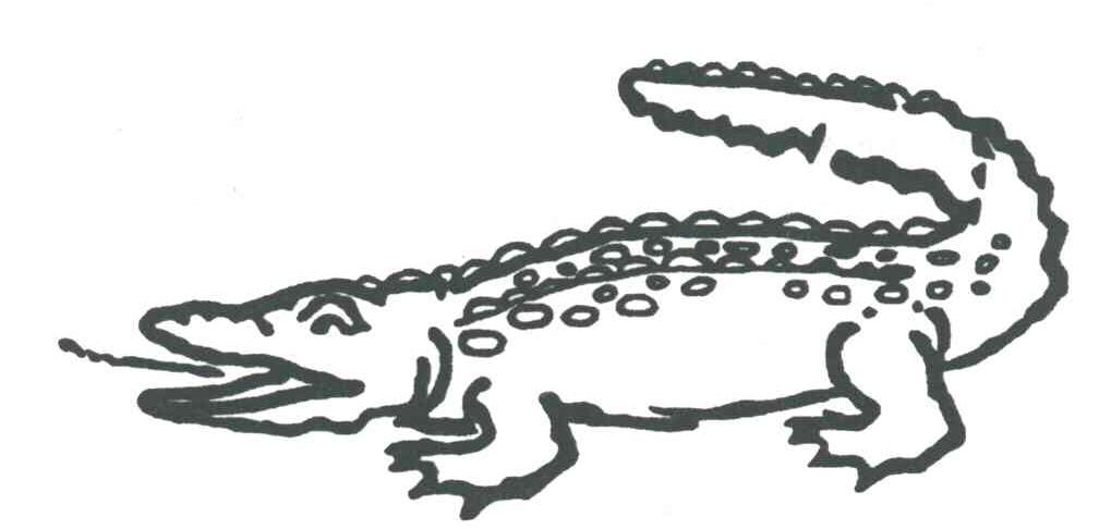 商标名称图形商标注册号 1934804、商标申请人新加坡鳄鱼国际机构非洲鳄服饰有限公司的商标详情 - 标库网商标查询