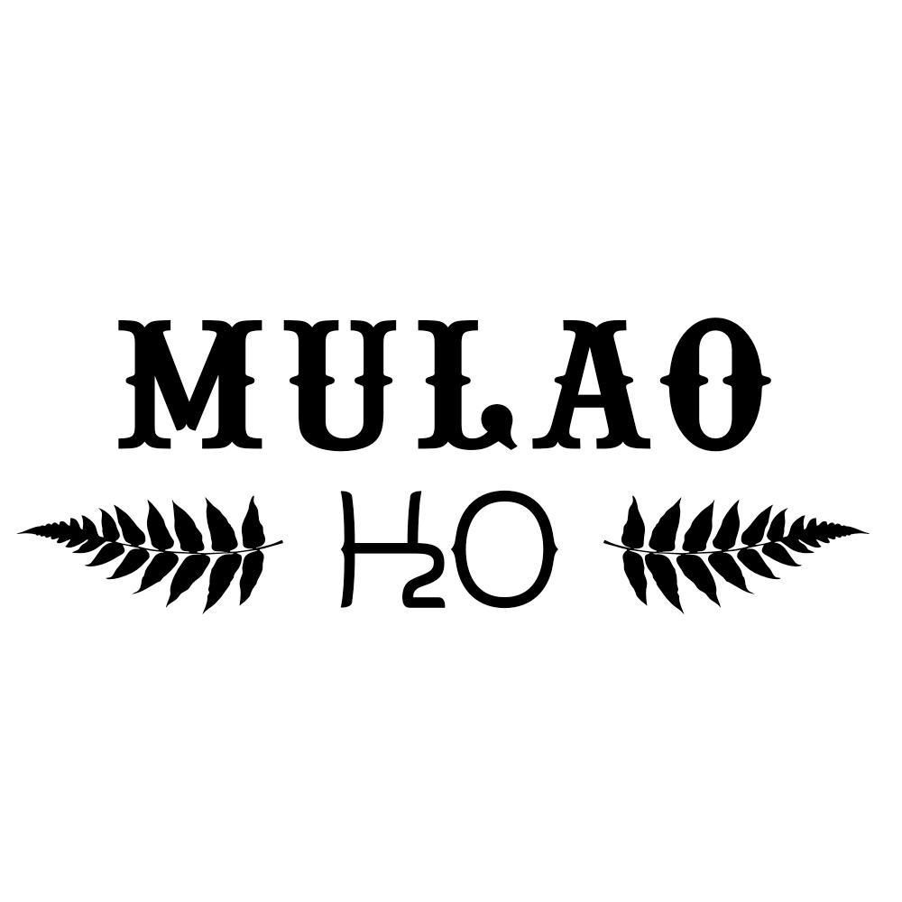 商标名称MULAO H2O商标注册号 11039771、商标申请人广西宝之泉天然水有限公司的商标详情 - 标库网商标查询
