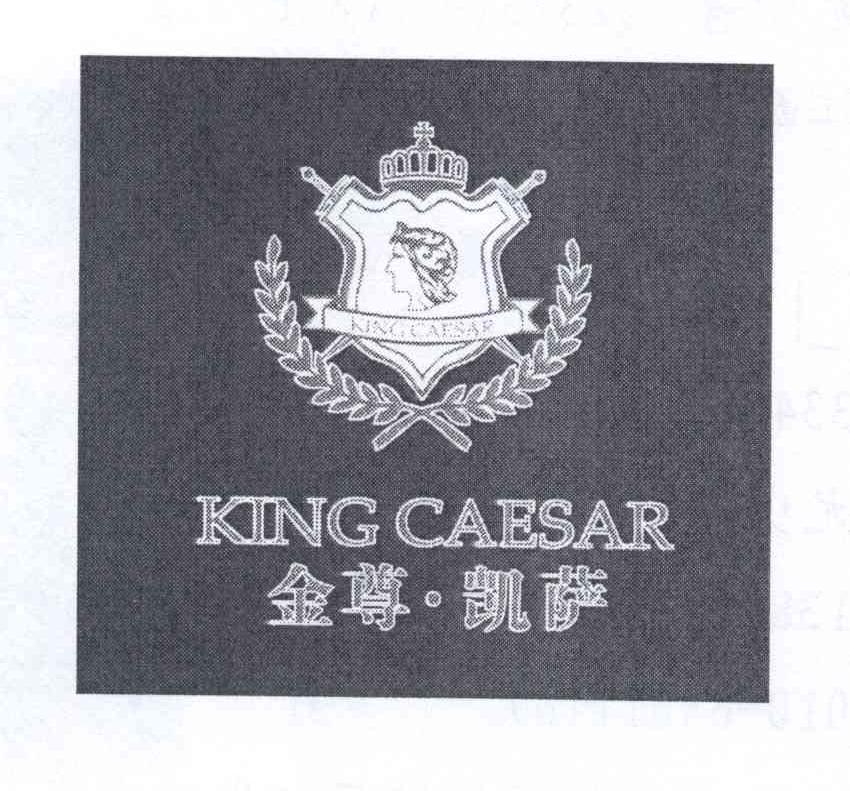 商标名称金尊·凯萨 KING CAESAR商标注册号 14196638、商标申请人尤少青的商标详情 - 标库网商标查询