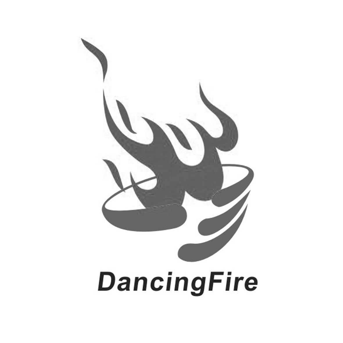 商标名称DANCINGFIRE商标注册号 10490788、商标申请人义乌市安冬电器有限公司的商标详情 - 标库网商标查询