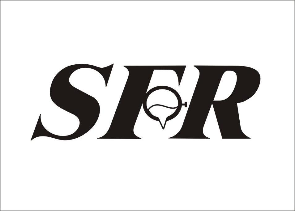 商标名称SFR商标注册号 10282347、商标申请人中铸新材工业（江苏）有限公司的商标详情 - 标库网商标查询