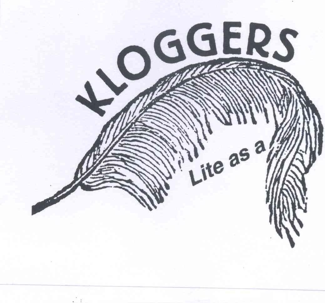 商标名称KLOGGERS LITE AS A商标注册号 13084972、商标申请人海曼·克雷默 证件号:的商标详情 - 标库网商标查询
