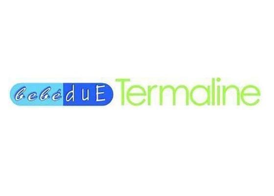 商标名称BEBEDUE TERMALINE商标注册号 13411052、商标申请人贝贝之宝西班牙公司的商标详情 - 标库网商标查询