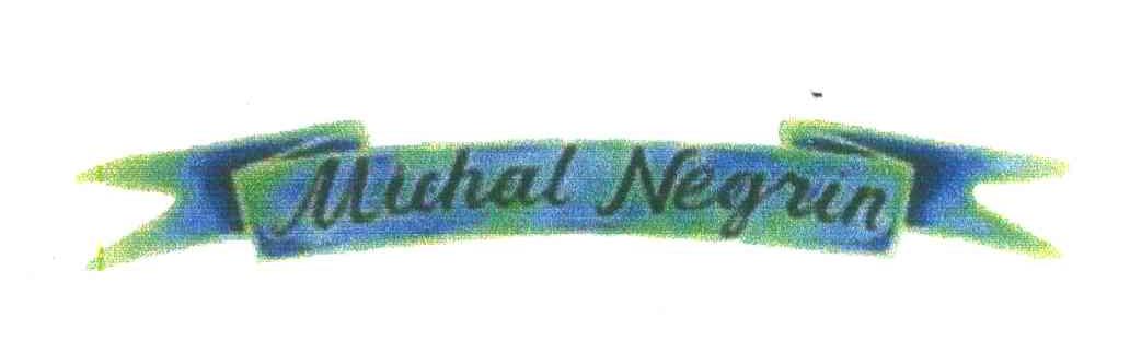 商标名称MICHAL NEGRIN商标注册号 4619143、商标申请人张兆锠C（4）的商标详情 - 标库网商标查询