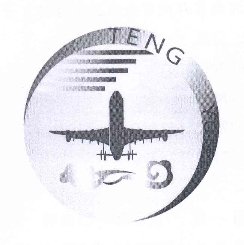 商标名称TENG YUN商标注册号 14080564、商标申请人彭战旗的商标详情 - 标库网商标查询