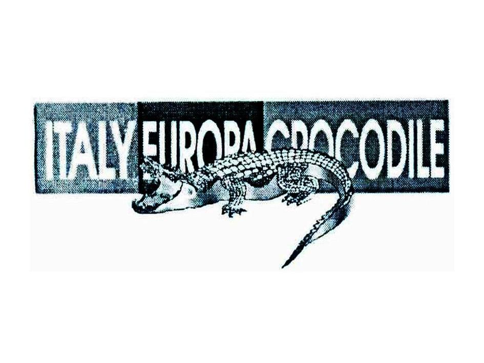 商标名称ITALY EURORA CROCODILE商标注册号 11017463、商标申请人意大利欧意鳄鱼发展集团服饰有限公司的商标详情 - 标库网商标查询