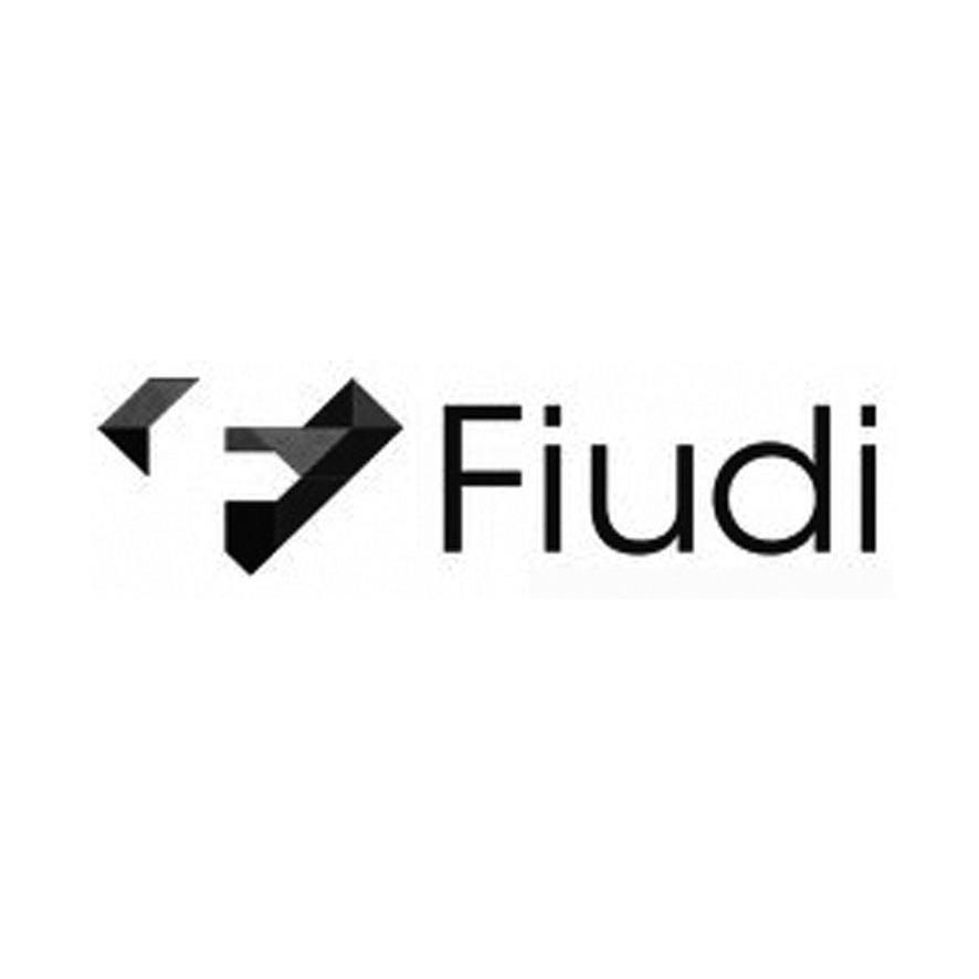 商标名称FIUDI商标注册号 14005989、商标申请人大美国际控股（香港）有限公司的商标详情 - 标库网商标查询