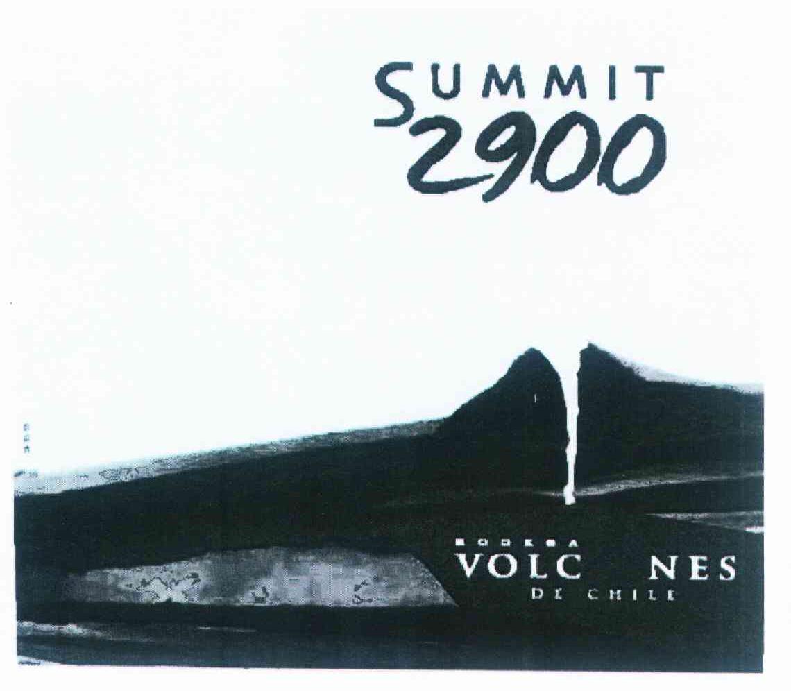 商标名称SUMMIT 2900 BODEGA VOLCA NES DE CHILE商标注册号 10086667、商标申请人维那昂都拉佳公司的商标详情 - 标库网商标查询