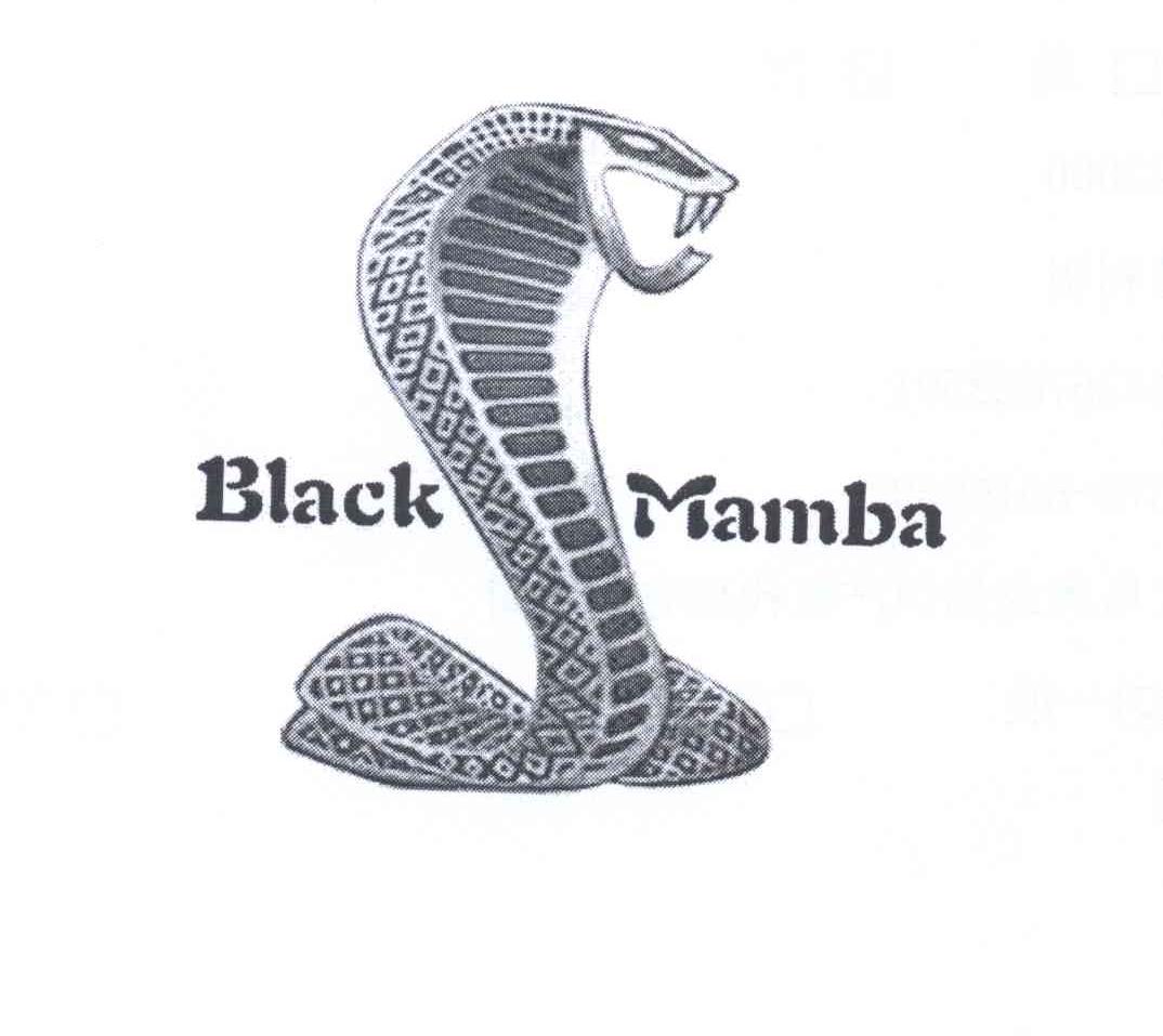 商标名称BLACK MAMBA商标注册号 13027256、商标申请人吴利明的商标详情 - 标库网商标查询