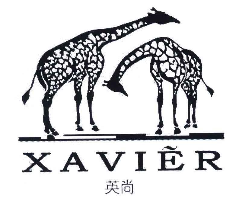 商标名称英尚;XAVIER商标注册号 5777771、商标申请人上海瞬视信息科技有限公司的商标详情 - 标库网商标查询