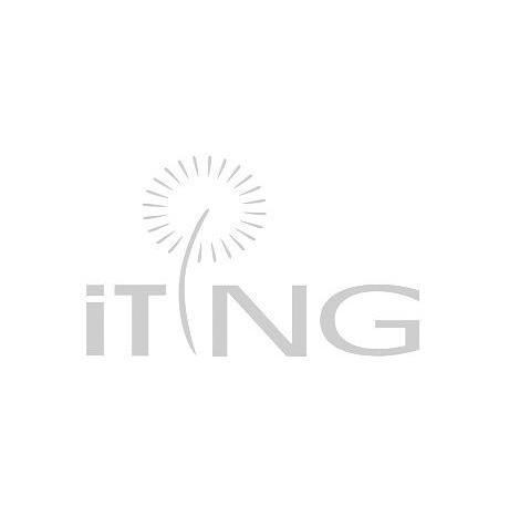 商标名称ITING商标注册号 12533123、商标申请人北京瑰柏科技有限公司的商标详情 - 标库网商标查询