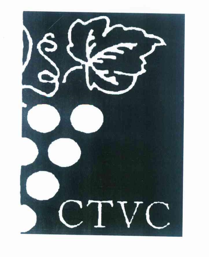 商标名称CTVC商标注册号 10277498、商标申请人杨基辉09AA61745的商标详情 - 标库网商标查询