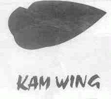 商标名称KAM WING商标注册号 1464620、商标申请人汕头市每家宝食品有限公司的商标详情 - 标库网商标查询