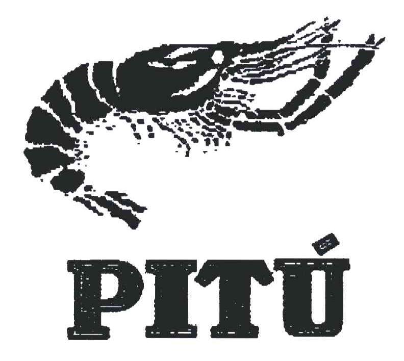 商标名称PITU商标注册号 4735698、商标申请人恩格拉伐门托·皮图有限公司的商标详情 - 标库网商标查询