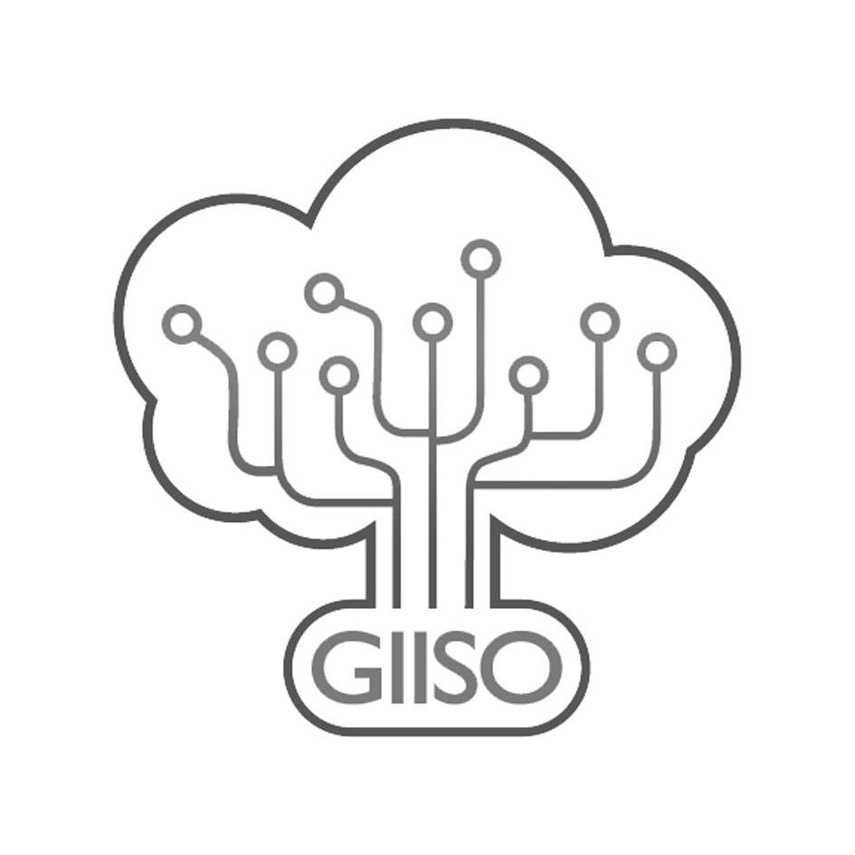商标名称GIISO商标注册号 14056280、商标申请人深圳市智搜信息技术有限公司的商标详情 - 标库网商标查询