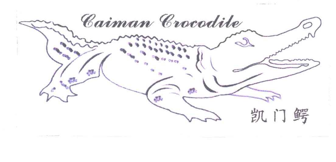 商标名称凯门鳄;CAIMAN CROCDILE商标注册号 3579505、商标申请人张治洋的商标详情 - 标库网商标查询