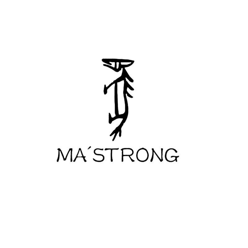 商标名称MASTRONG商标注册号 13281945、商标申请人秦皇岛九零一五科技有限公司的商标详情 - 标库网商标查询