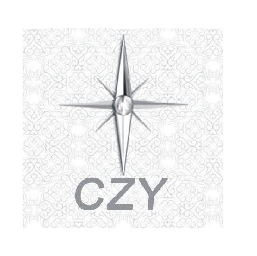 商标名称CZY商标注册号 14451746、商标申请人常州指南针教育信息咨询有限公司的商标详情 - 标库网商标查询