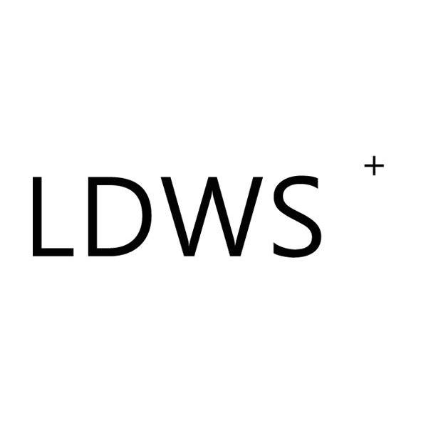 商标名称LDWS商标注册号 13887539、商标申请人东风裕隆汽车有限公司的商标详情 - 标库网商标查询