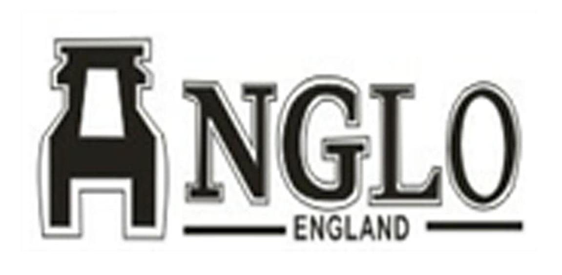 商标名称ANGLO ENGLAND商标注册号 14237180、商标申请人安徽美瑞尔滤清器有限公司的商标详情 - 标库网商标查询