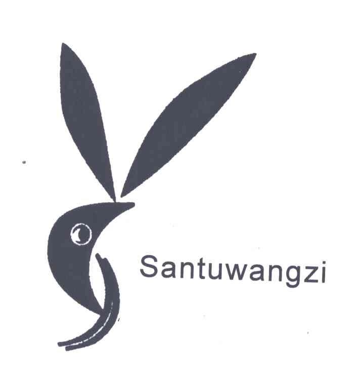 商标名称SANTUWANGZI商标注册号 3649334、商标申请人顾小林的商标详情 - 标库网商标查询