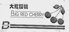 商标名称大红樱桃 BIG RED CHERRY B商标注册号 1031782、商标申请人湖北大红苹果食品有限公司的商标详情 - 标库网商标查询
