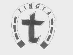 商标名称TINGTA商标注册号 1260853、商标申请人姿彩（中国）有限公司的商标详情 - 标库网商标查询